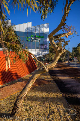 August 2025 / Port-Augusta-TC-250801-_Z9C8911