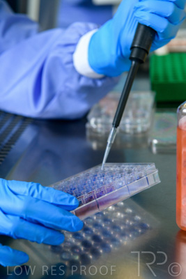 September 2021 / SEMENTIS_LAB_128