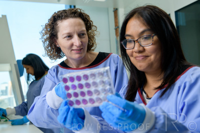 September 2021 / SEMENTIS_LAB_137