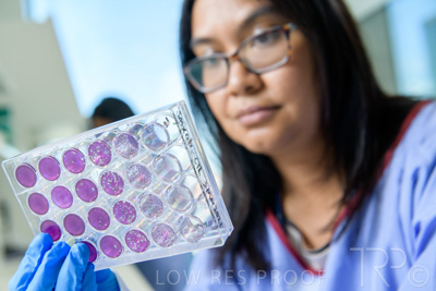 September 2021 / SEMENTIS_LAB_146