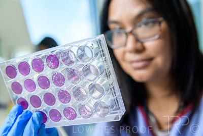 September 2021 / SEMENTIS_LAB_147