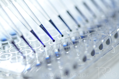 September 2021 / SEMENTIS_LAB_171