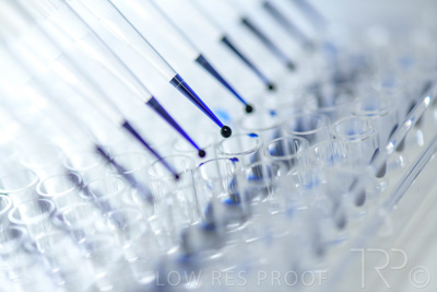 September 2021 / SEMENTIS_LAB_172