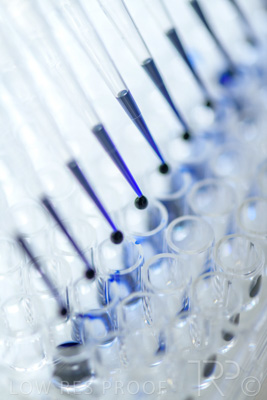 September 2021 / SEMENTIS_LAB_173