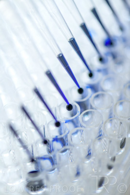 September 2021 / SEMENTIS_LAB_174