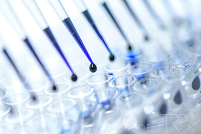 September 2021 / SEMENTIS_LAB_176