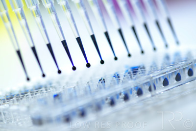 September 2021 / SEMENTIS_LAB_178