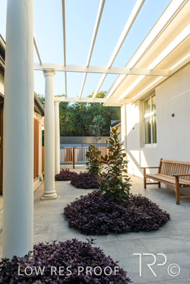 May 2021 / TDDP_ROSE_PARK_SA_210504_003