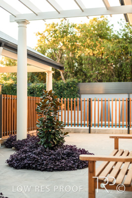 May 2021 / TDDP_ROSE_PARK_SA_210504_155