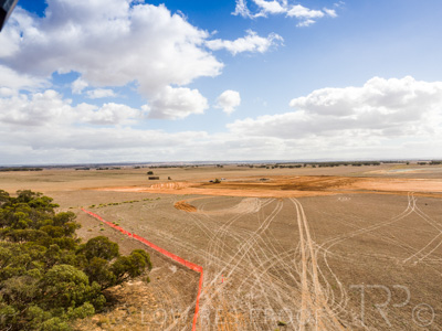 April 2021 / TFI_MB_210422_DJI_0262