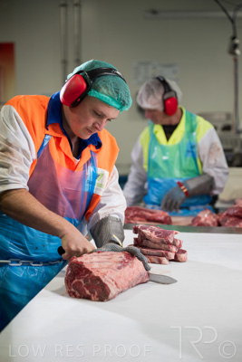 May 2022 / TFI-AUS-Cavan-220509-7274