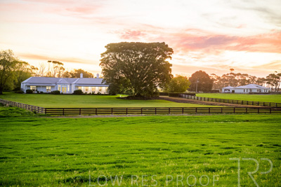 October 2022 / Mt-Shank-221017--16-2