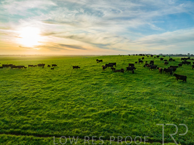 October 2022 / Mt-Shank-221017--37