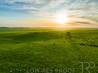 October 2022 / Mt-Shank-221017--39