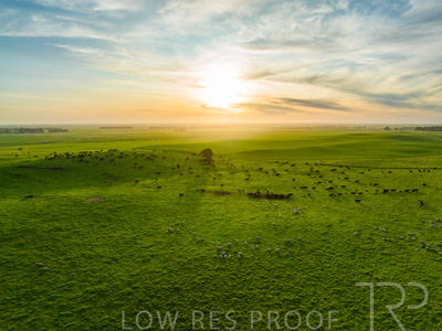 October 2022 / Mt-Shank-221017--40