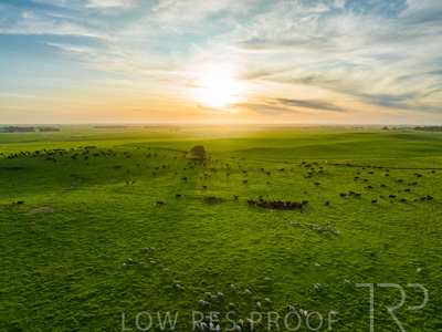 October 2022 / Mt-Shank-221017--41