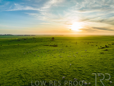 October 2022 / Mt-Shank-221017--42