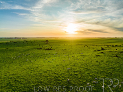 October 2022 / Mt-Shank-221017--43