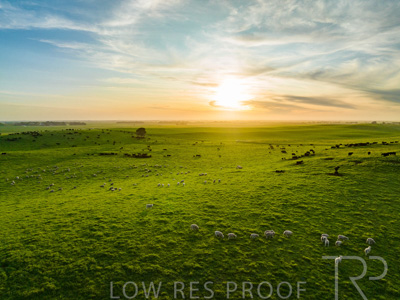 October 2022 / Mt-Shank-221017--44