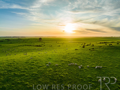 October 2022 / Mt-Shank-221017--45