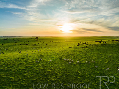 October 2022 / Mt-Shank-221017--46