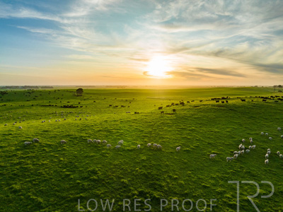 October 2022 / Mt-Shank-221017--47