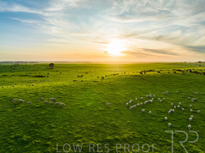 October 2022 / Mt-Shank-221017--48