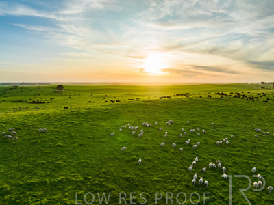 October 2022 / Mt-Shank-221017--49