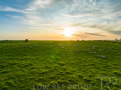 October 2022 / Mt-Shank-221017--50