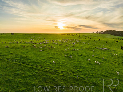 October 2022 / Mt-Shank-221017--51