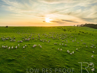 October 2022 / Mt-Shank-221017--52