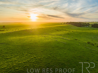 October 2022 / Mt-Shank-221017--53