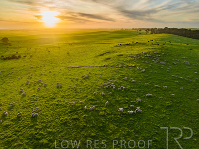 October 2022 / Mt-Shank-221017--55