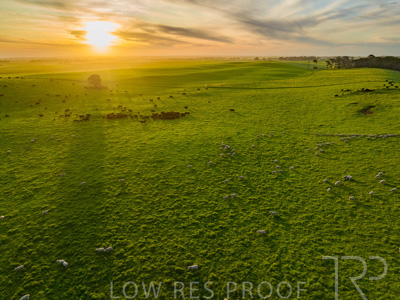 October 2022 / Mt-Shank-221017--56