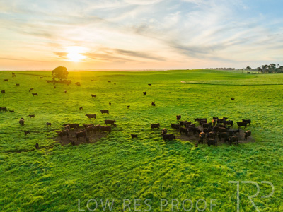 October 2022 / Mt-Shank-221017--58