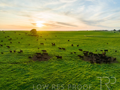 October 2022 / Mt-Shank-221017--59