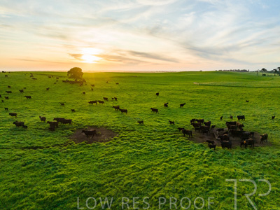 October 2022 / Mt-Shank-221017--60