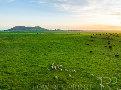 October 2022 / Mt-Shank-221017--61