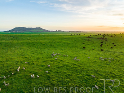 October 2022 / Mt-Shank-221017--62