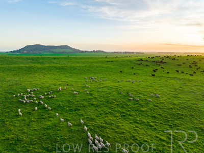 October 2022 / Mt-Shank-221017--63