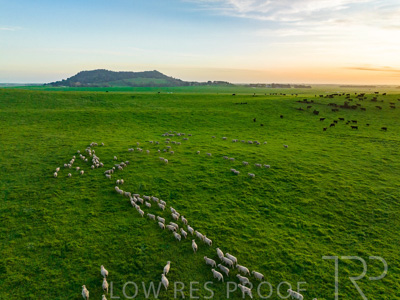 October 2022 / Mt-Shank-221017--64