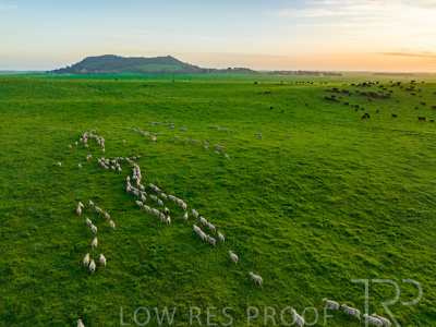 October 2022 / Mt-Shank-221017--65