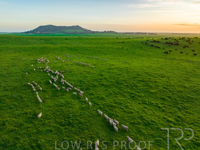 October 2022 / Mt-Shank-221017--66