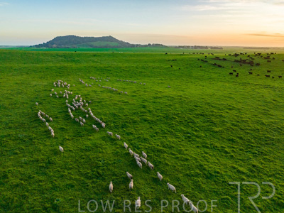 October 2022 / Mt-Shank-221017--67