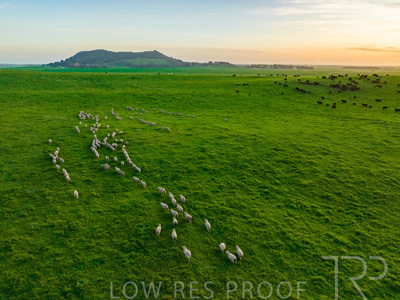 October 2022 / Mt-Shank-221017--68