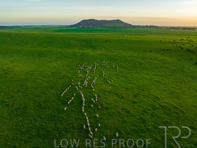 October 2022 / Mt-Shank-221017--69