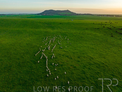 October 2022 / Mt-Shank-221017--70