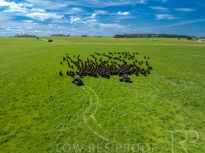 October 2022 / Mt-Shank-221017-0401