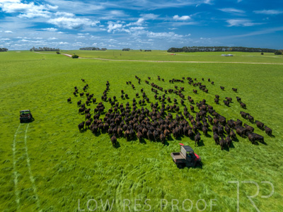 October 2022 / Mt-Shank-221017-0404