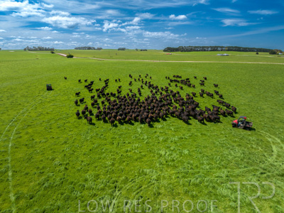 October 2022 / Mt-Shank-221017-0407